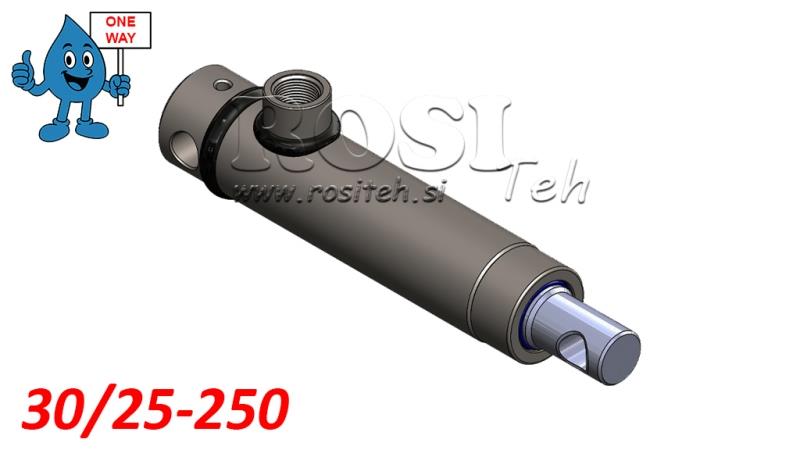 HYDRAULINEN SYLINTERI MONO 30/25-250