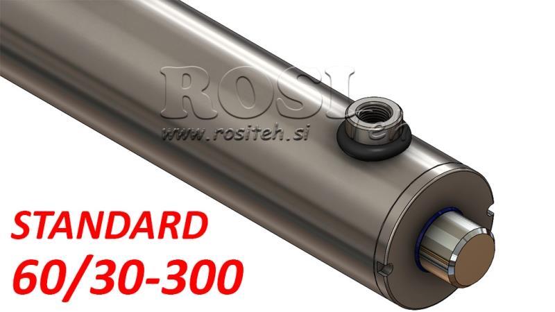 HIDRAULISKAIS CILINDRS STANDARTS 60/30-300