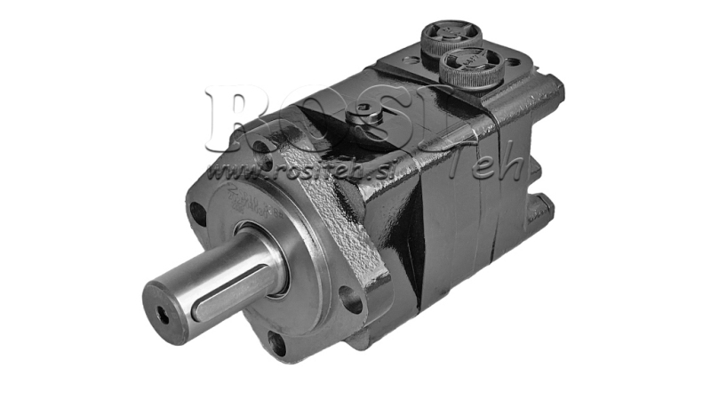 MOTORE IDRAULICO MS 80 ECO (ALSG3-80)