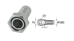ZENSKÉ-DKOS-SPOJENIA